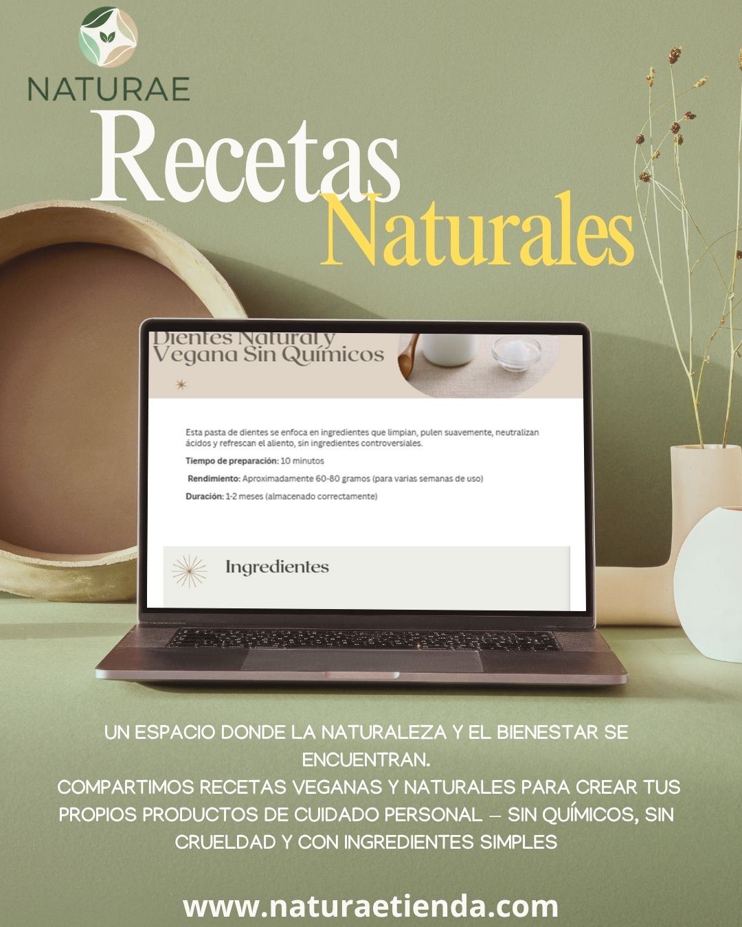 Accede a todas las recetas de Naturae por un precio promocional